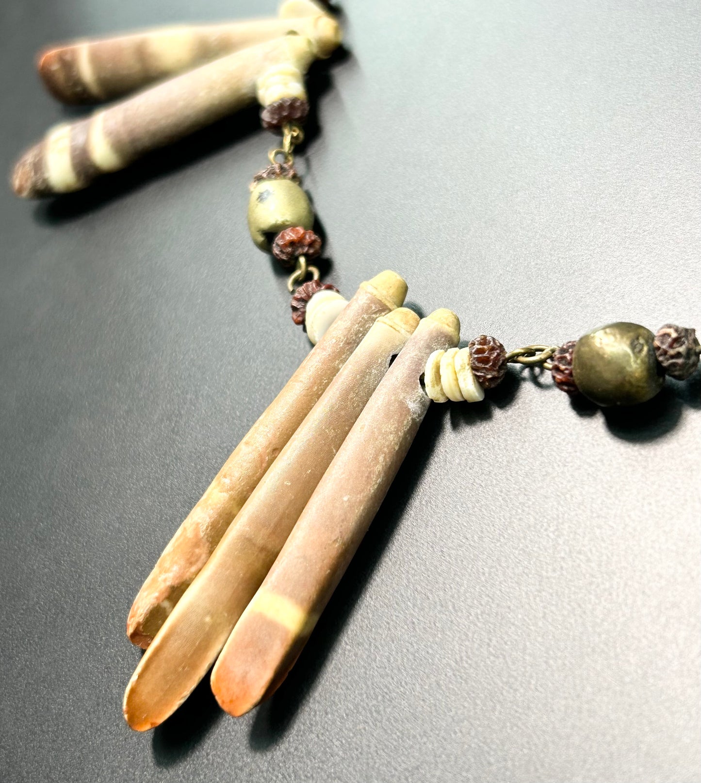 Sea Urchin Spine Necklace