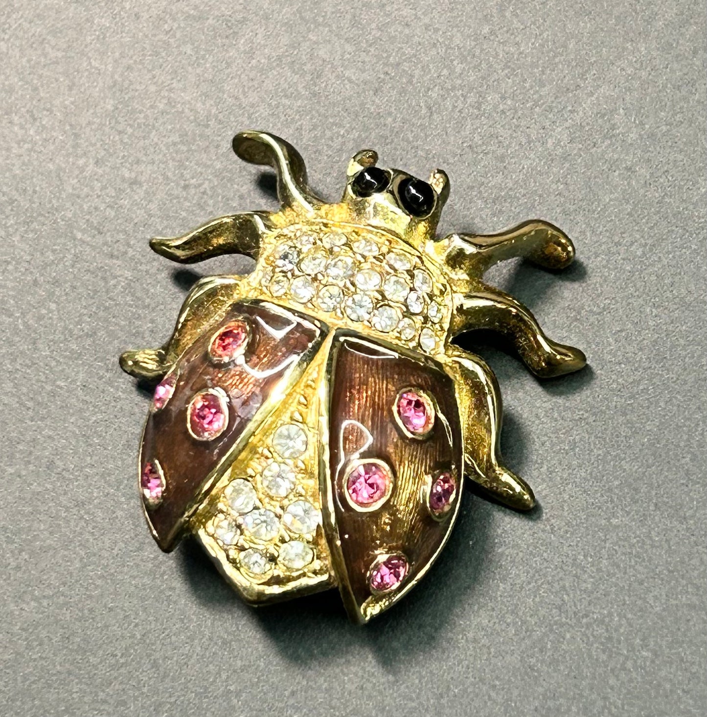 Ladybug Brooch
