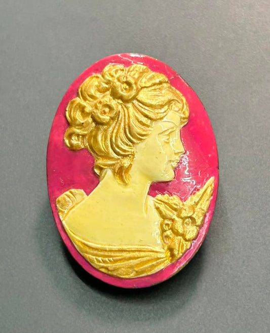 Painted Acrylic Cameo Brooch