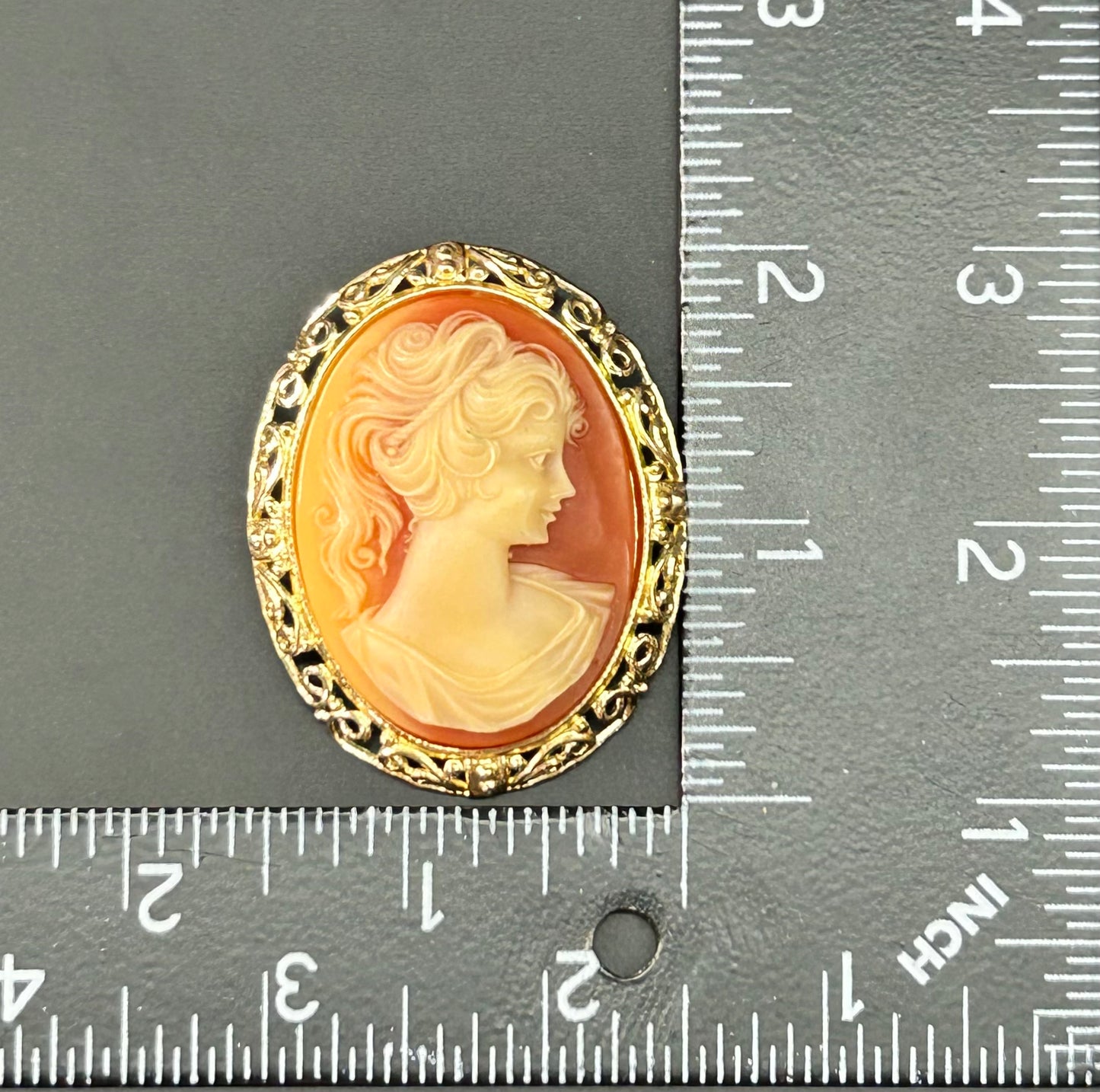 Acrylic Cameo Brooch