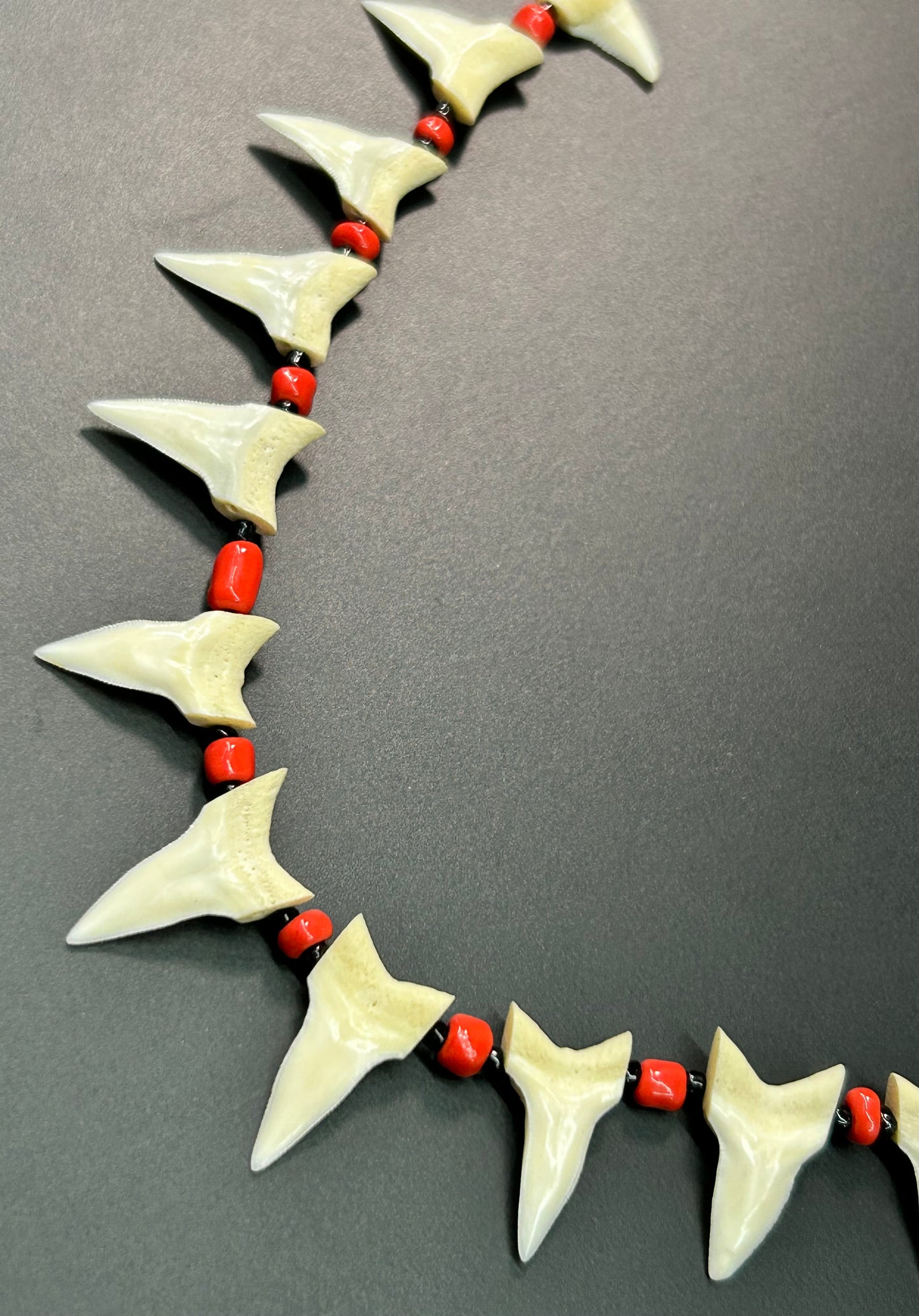 Shark Tooth Necklace
