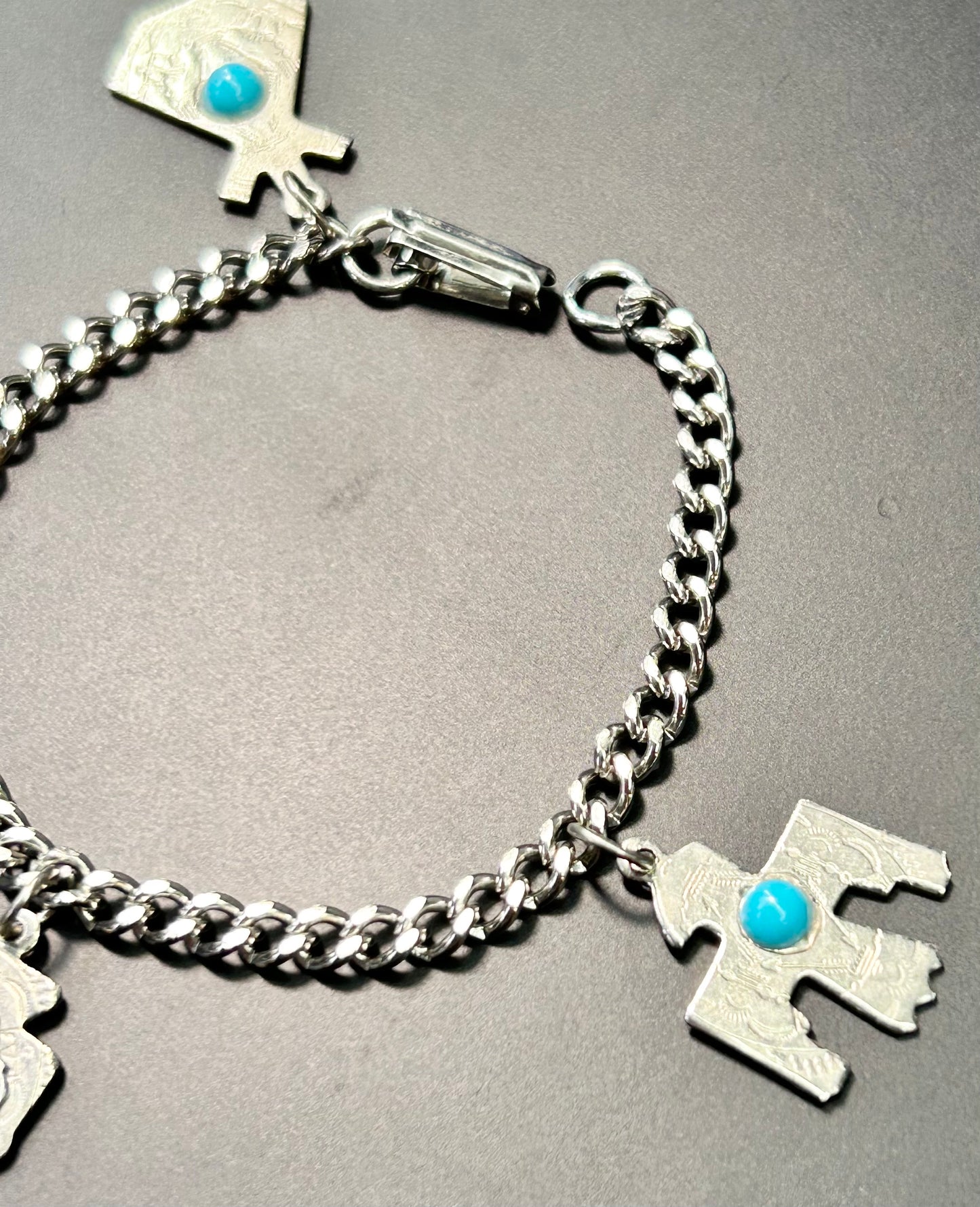 Minnesota Souvenir Southwestern Charm Bracelet