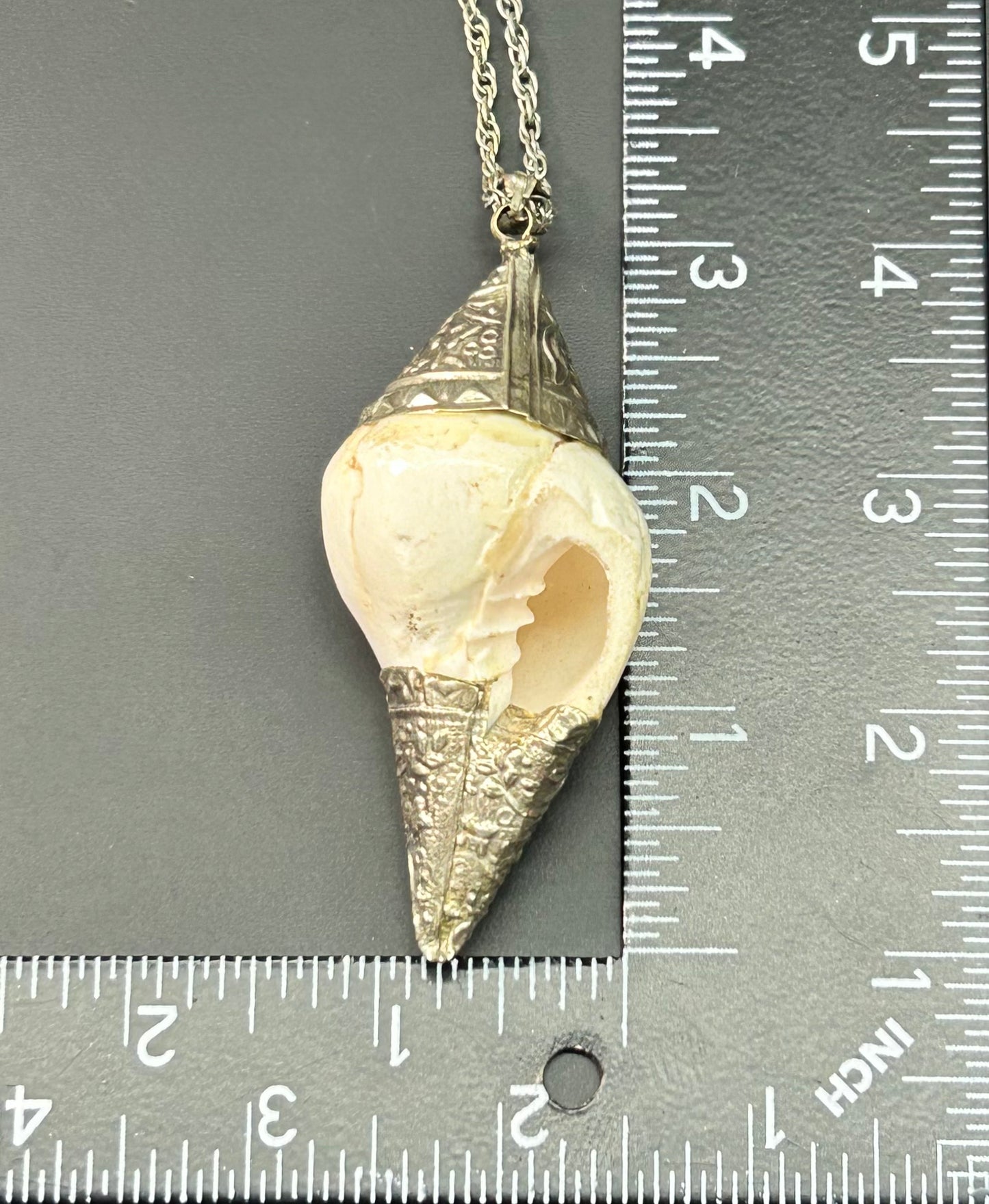 Shell Necklace
