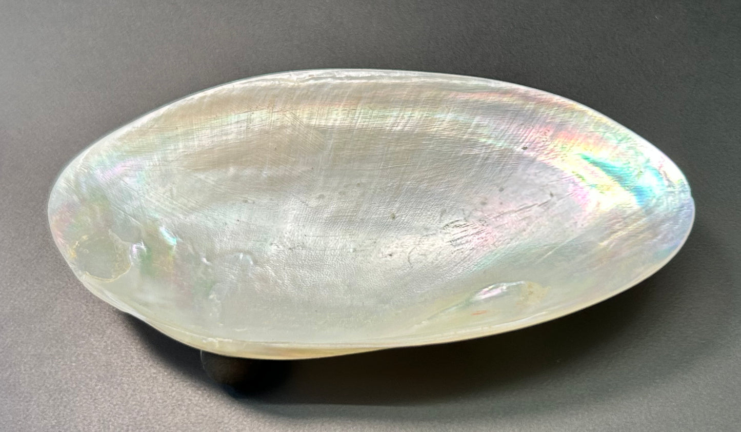 Shell Trinket Tray