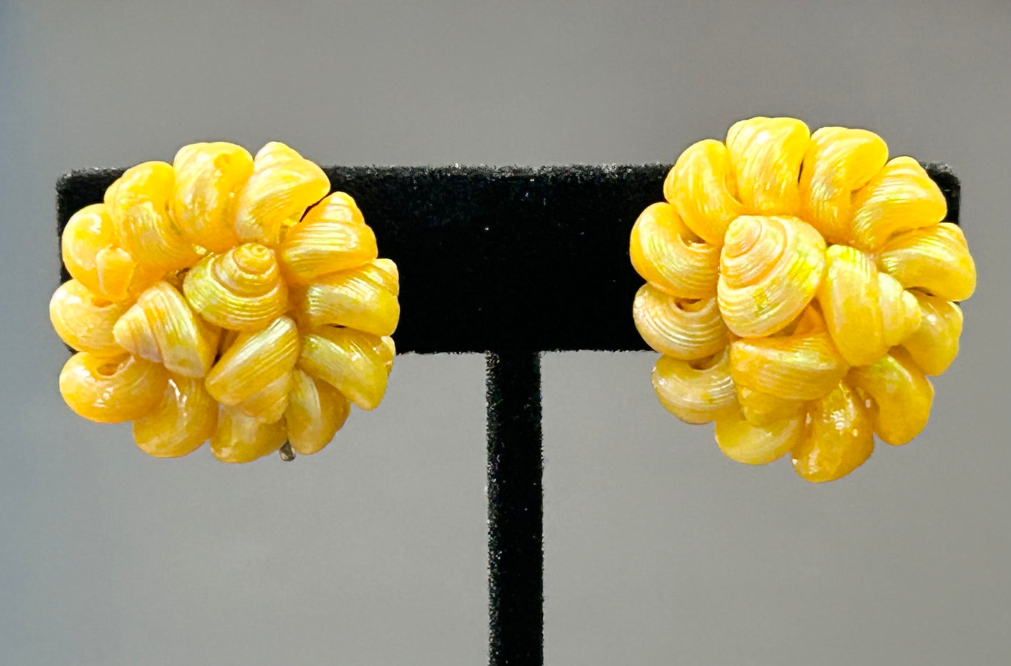 Dalsheim Shell Clip Earrings