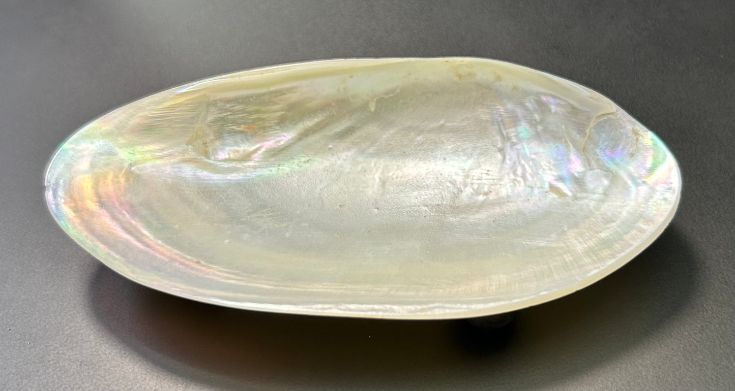 Shell Trinket Tray