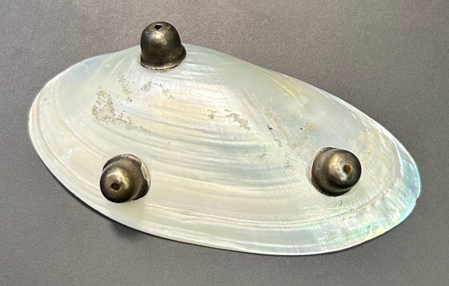 Shell Trinket Tray