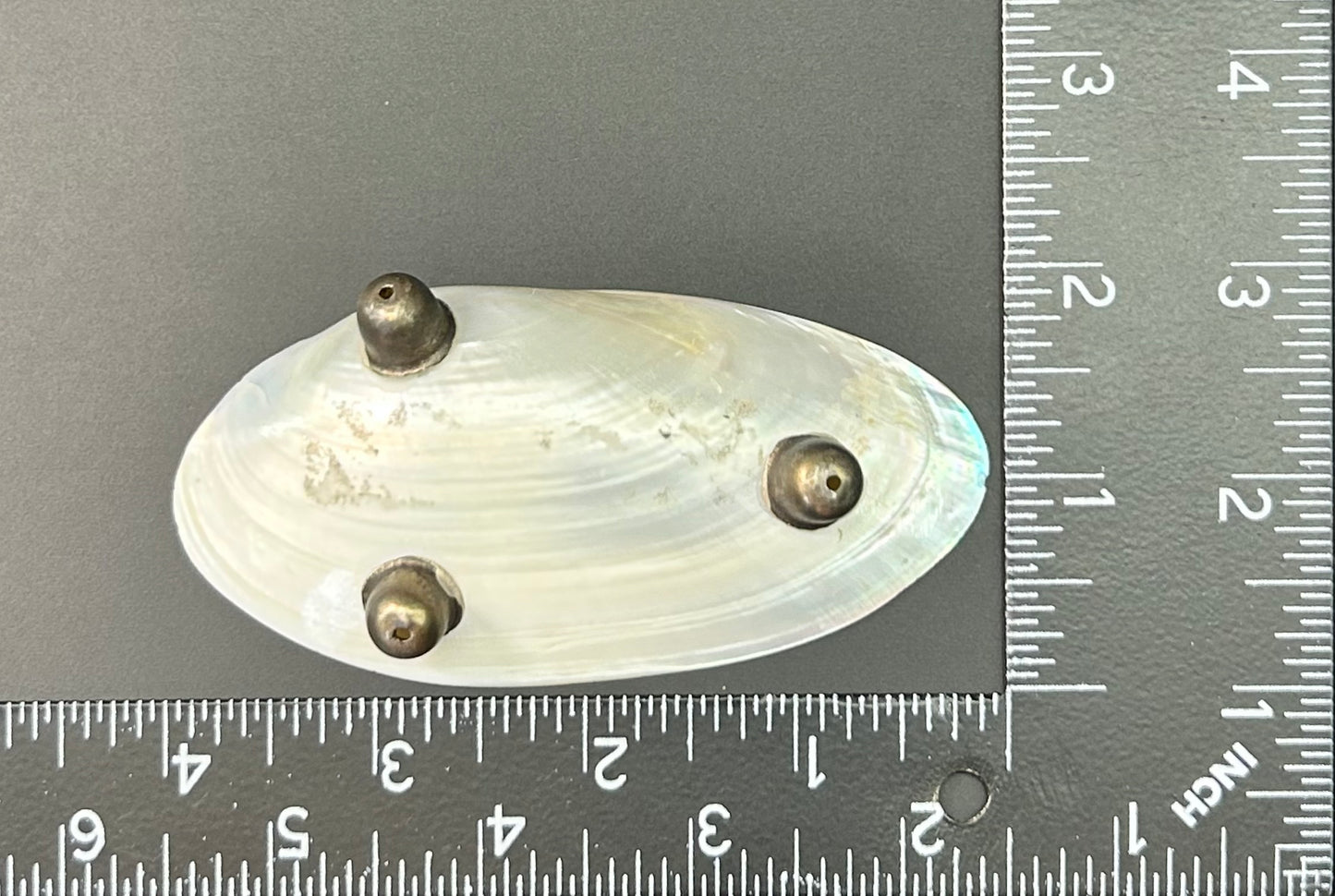 Shell Trinket Tray