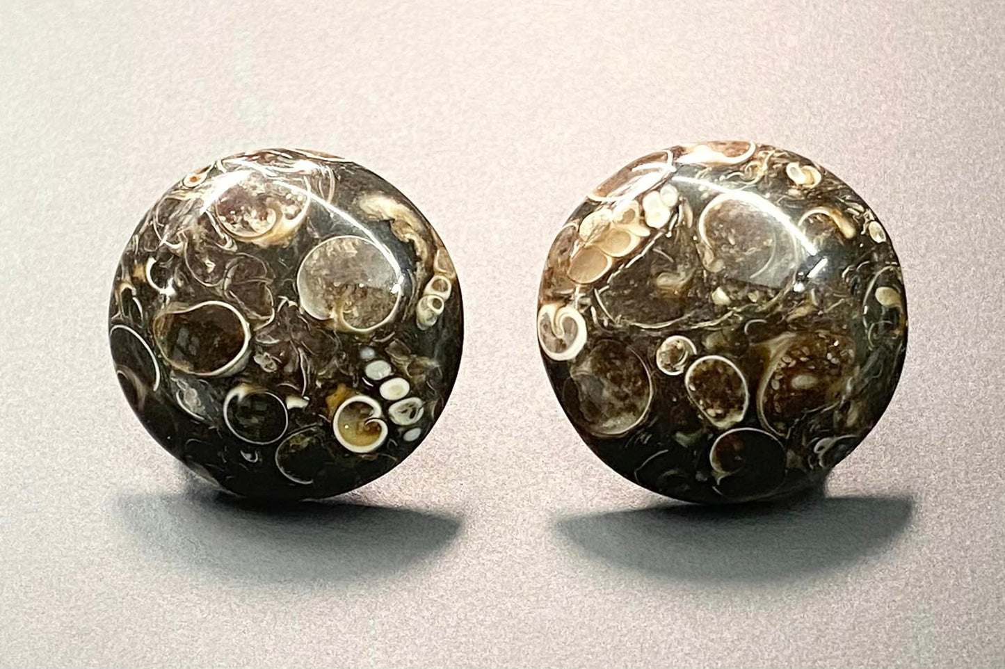 Sterling Silver Turtella Jasper Screw Back Earrings