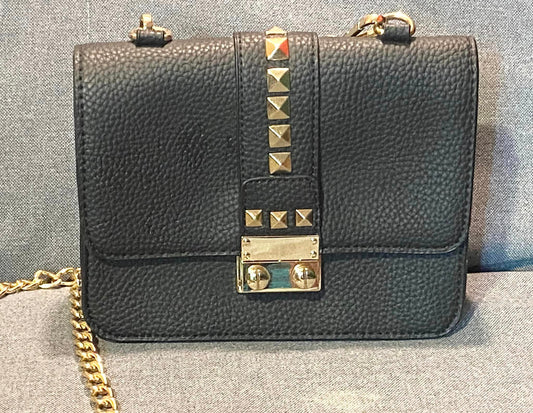 BCBG Purse